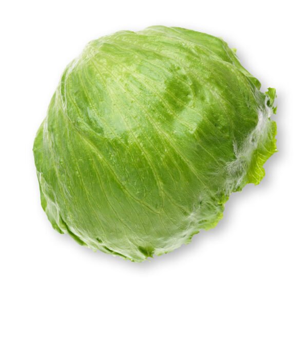 Iceberg Lettuce 1 Piece