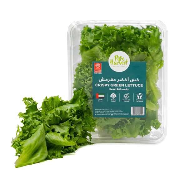 Pureharvest Crispy Green Lettuce